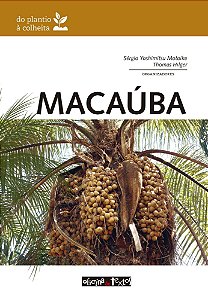 Macaúba: Do Plantio À Colheita