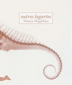 Outros Lagartos