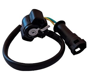 Potenciômetro Alavancas/Acelerador 8405280