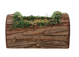 CESTA TRONCO MUSGO MRR/VRD P 10CMX20CM 1UN