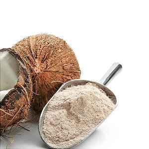 Leite de Coco em Pó (Vegano)