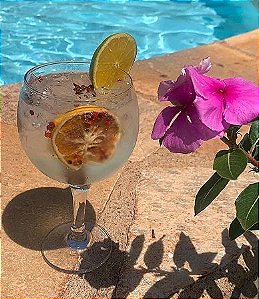 Drink Gin Fresh