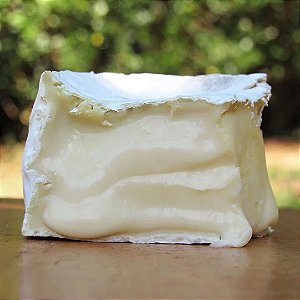 Queijo Cândido - Fazenda Santa Luzia *