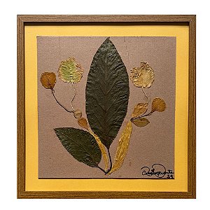 Colagem de Actinidia kolomikta P | By Regina Duarte