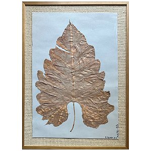 Colagem Botânica Alocasia Macrorrhizos G by Regina Duarte