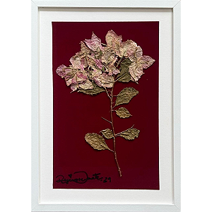 Colagem de buganvile (Bougainvillea) P | By Regina Duarte
