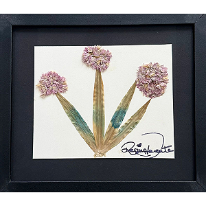 Colagem de Alho Ornamental (Allium) PP | By Regina Duarte