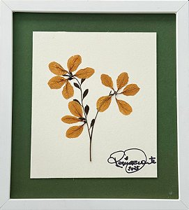 Colagem de Ameixeira-europeia | By Regina Duarte