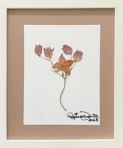 Colagem de Rhodochiton atrosanguineum | By Regina Duarte