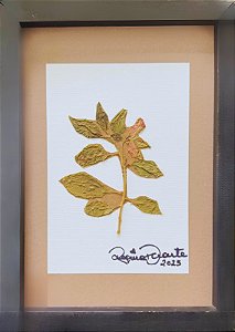 Colagem de Erva Santa | By Regina Duarte