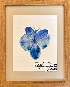 Colagem de Orquídea | By Regina Duarte