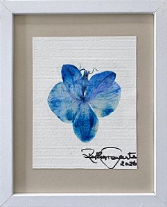 Colagem de Orquídea | By Regina Duarte