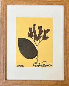 Colagem de Lágrimas de Cristo | By Regina Duarte