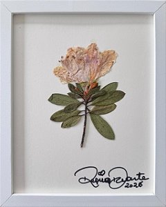 Colagem de Azaléia | By Regina Duarte