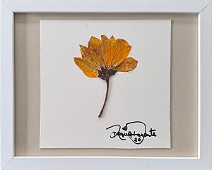 Colagem de Girassol | By Regina Duarte