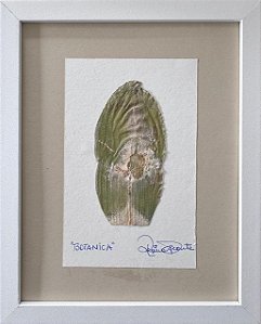 Colagem de Potamogeton Natans | By Regina Duarte