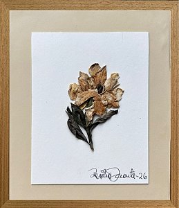 Colagem de Hibisco-da-sitia | By Regina Duarte