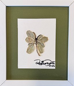 Colagem de Planta-espelho | By Regina Duarte