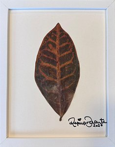 Colagem de Croton II | By Regina Duarte