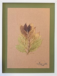 Colagem de Acer circinatum | By Regina Duarte