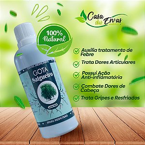 Salgueiro - Vida Ervas - 100 ML