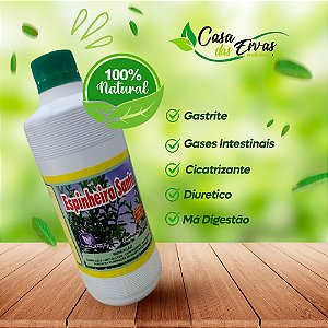 Espinheira Santa Pura - Vida Ervas - 500 ML