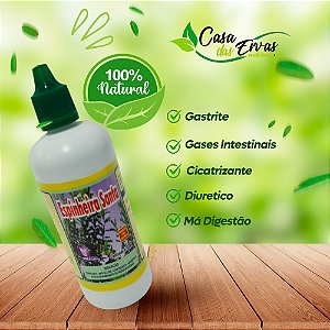 Espinheira Santa Pura - Vida Ervas - 100 ML