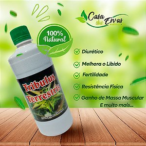Chá Pronto Tribulus Terrestris - 500 ML