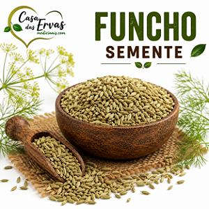 Funcho Semente