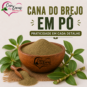Cana do Brejo em Pó