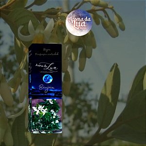 INCENSO DE BENJOIM - Purificação e criatividade