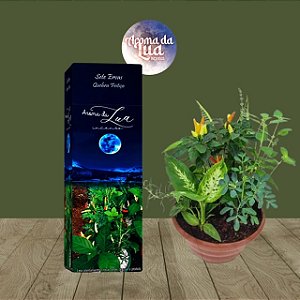 INCENSO SETE ERVAS - Quebra Feitiço