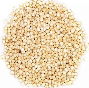 Quinoa Branca - Leon