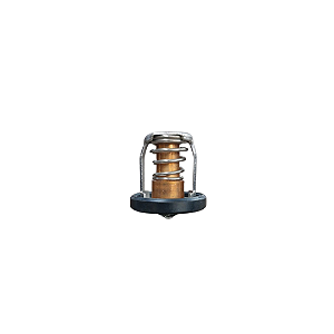 TERMOSTATO DF20AHP