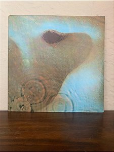 Lp pink floyd - Meddle
