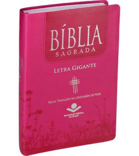 Bíblia sagrada letra gigante NTLH 