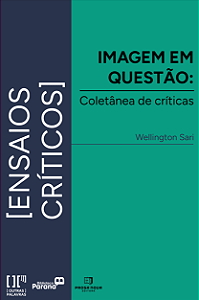 Imagem em questão: coletânea de críticas