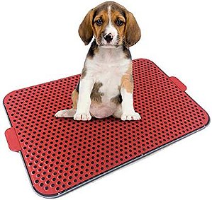 Sanitário Canino Vermelho - Xixi Dog