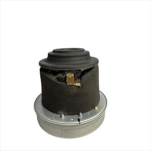 Motor ASS 1400w 127v para Aspirador de Pó EAS31 Electrolux A17343401 (testado)
