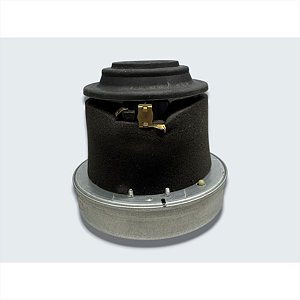 Motor 1250W 127v Para Aspirador de Pó EAS30 Electrolux A17343101 (Testado)