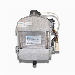 Motor Elétrico Original Hxg52a08.SA01 127v Brastemp Bws24 (Testado)