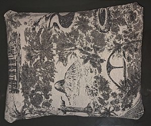 Bandoca Madeira Pontos Turísticos RJ Branco