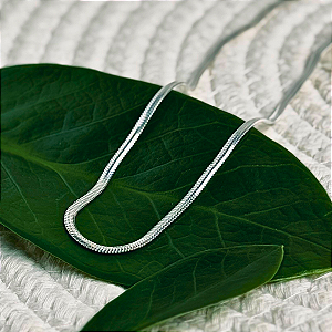 Choker Lacraia - Prata 925
