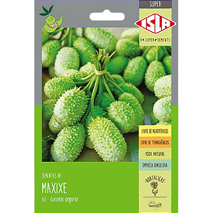 Semente Maxixe 5g - Isla