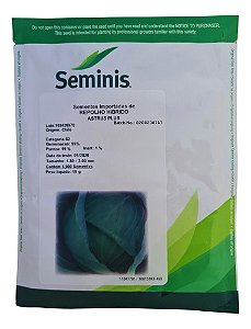 Semente Repolho Híbrido Astrus Plus 5,000 Sementes -Seminis