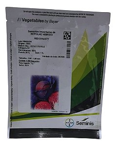 Semente Repolho Híbrido  Red Dynasty Roxo 1,000 Sementes-Seminis