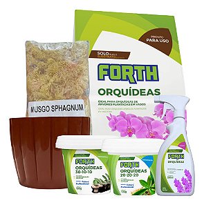 Kit Plantio Orquídeas Completo Cachepô Floração Crescimento