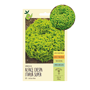 Alface Crespa Itapuã Super 1500 Sementes