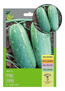 Pepino Caipira 90 Sementes- Isla