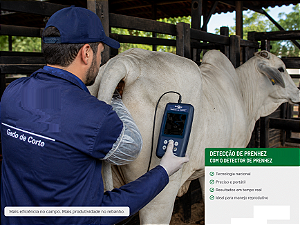 Detector de Prenhez para Bovinos e Equinos DP 300